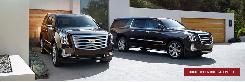 Посмотреть фотогалерею